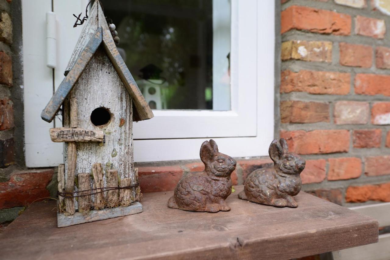 Apartament Hus In'T Dorp Oevenum Zewnętrze zdjęcie